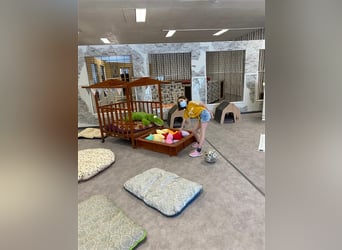 Hundstage Steigerwald