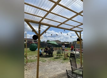 Hundstage Steigerwald