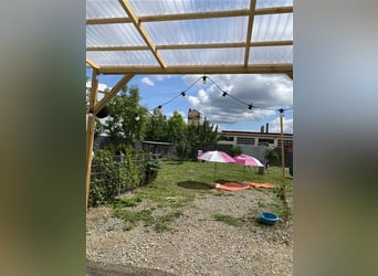 Hundstage Steigerwald