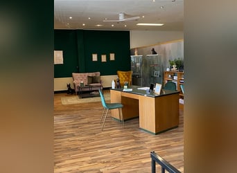 Hundstage Steigerwald