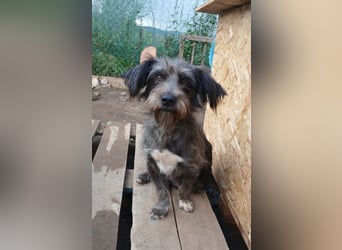 Menschenbezogene NALA braucht eine Familie!