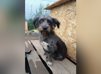 Menschenbezogene NALA braucht eine Familie!