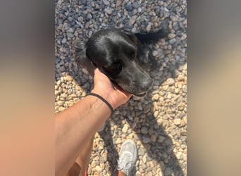 NOVA sucht ihr Glück ❤️