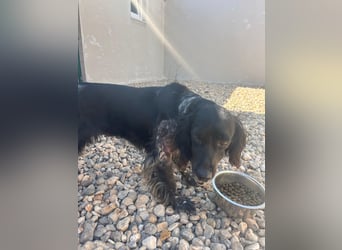 NOVA sucht ihr Glück ❤️