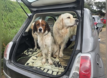 Brex: perfekt für Homeoffice und tolle Spaziergänge