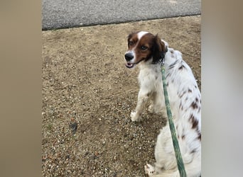 Brex: perfekt für Homeoffice und tolle Spaziergänge