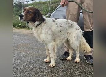 Brex: perfekt für Homeoffice und tolle Spaziergänge