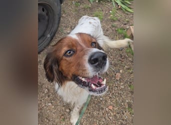 Brex: perfekt für Homeoffice und tolle Spaziergänge