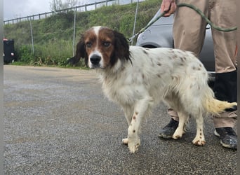 Brex: perfekt für Homeoffice und tolle Spaziergänge