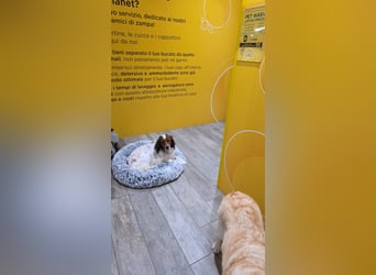 Brex: perfekt für Homeoffice und tolle Spaziergänge