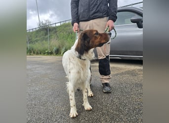 Brex: perfekt für Homeoffice und tolle Spaziergänge