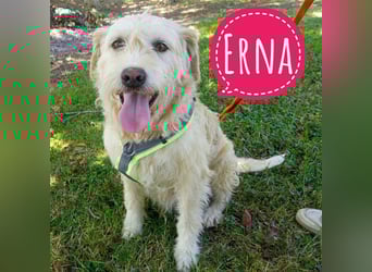 Erna ein Goldschatz