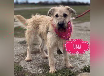 Uma ein freundlicher Engel