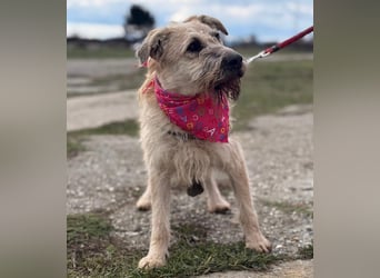 Uma ein freundlicher Engel