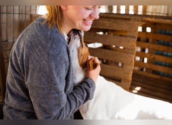 Jaron ❤️ aktiv, intelligent & so lieb!