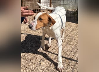 Jaron ❤️ aktiv, intelligent & so lieb!