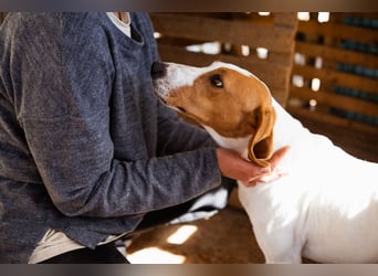 Jaron ❤️ aktiv, intelligent & so lieb!