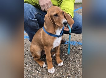 Nala piccola. einfach nur Zucker