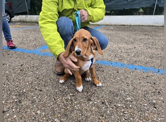 Nala piccola. einfach nur Zucker