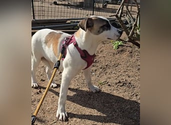 Nicoletta: vom Parkplatz ins schöne Leben