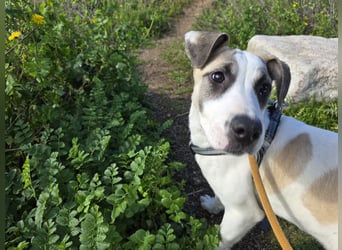 Nicoletta: vom Parkplatz ins schöne Leben