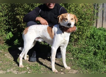 100%- lieb*freundlich*unkompliziert - *DOBY* - und kennt das Leben im Haus