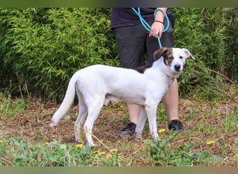 Sanft & unkompliziert  * ¥ * Senior CHICO