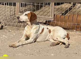 Sonnenschein Tilly - sucht so sehr seine PS/ES