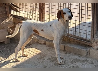 Sonnenschein Tilly - sucht so sehr seine PS/ES