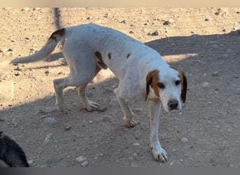 Sonnenschein Tilly - sucht so sehr seine PS/ES
