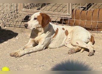 Sonnenschein Tilly - sucht so sehr seine PS/ES