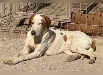 Sonnenschein Tilly - sucht so sehr seine PS/ES