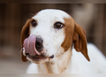 Sonnenschein ♥ Tilly ♥ sucht so sehr eine PS - am liebsten direkt ES