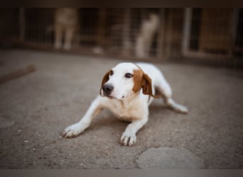 Sonnenschein Tilly - sucht so sehr seine PS/ES