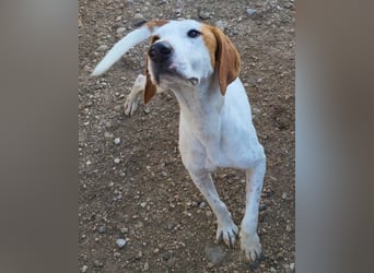 Sonnenschein ♥ Tilly ♥ sucht so sehr eine PS - am liebsten direkt ES