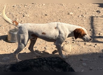 Sonnenschein Tilly - sucht so sehr seine PS/ES