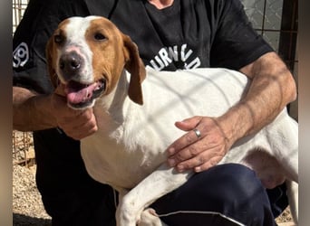 Jaron ❤️ aktiv, intelligent & so lieb!