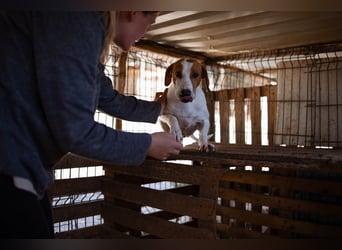 Jaron ❤️ aktiv, intelligent & so lieb!