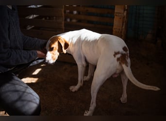 Jaron ❤️ aktiv, intelligent & so lieb!