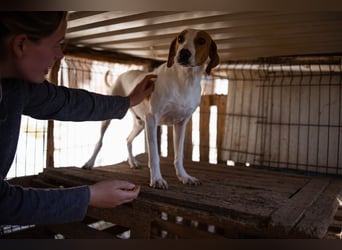 Jaron ❤️ aktiv, intelligent & so lieb!