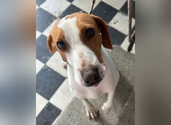 Jaron ❤️ aktiv, intelligent & so lieb!