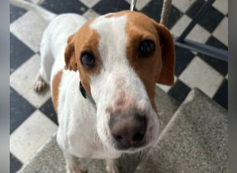 Jaron ❤️ aktiv, intelligent & so lieb!