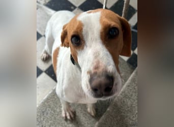 Jaron ❤️ aktiv, intelligent & so lieb!