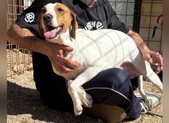 Jaron ❤️ aktiv, intelligent & so lieb!