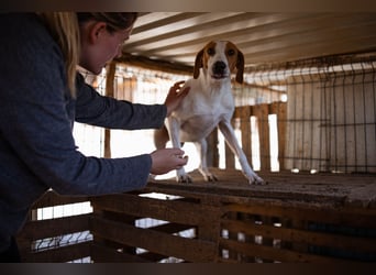 Jaron ❤️ aktiv, intelligent & so lieb!