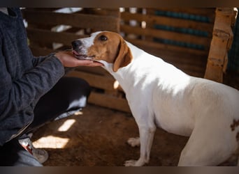 Jaron ❤️ aktiv, intelligent & so lieb!