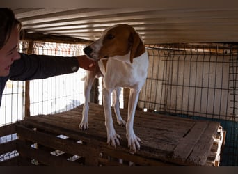 Jaron ❤️ aktiv, intelligent & so lieb!