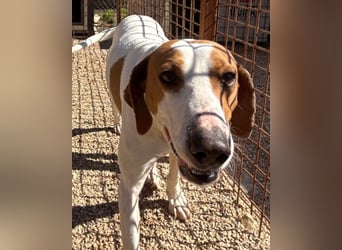 Jaron ❤️ aktiv, intelligent & so lieb!