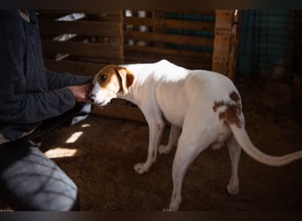 Jaron ❤️ aktiv, intelligent & so lieb!