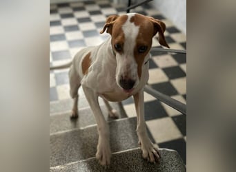 Jaron ❤️ aktiv, intelligent & so lieb!